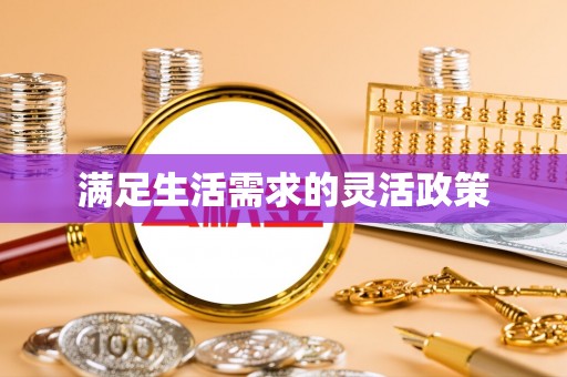 汉源满足生活需求的灵活政策
