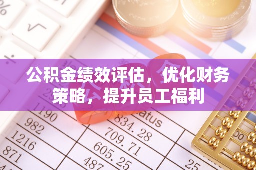汉源公积金绩效评估，优化财务策略，提升员工福利