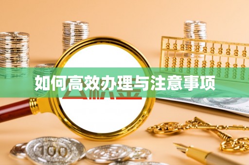 汉源如何高效办理与注意事项