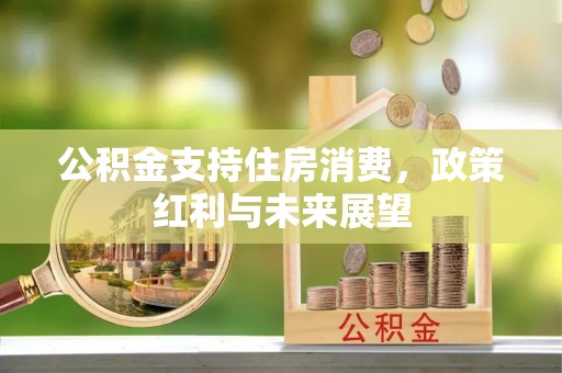 汉源公积金支持住房消费，政策红利与未来展望