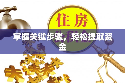 汉源掌握关键步骤，轻松提取资金