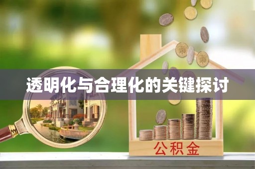 汉源透明化与合理化的关键探讨