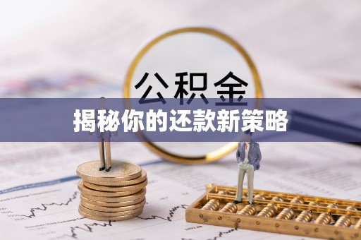 汉源揭秘你的还款新策略