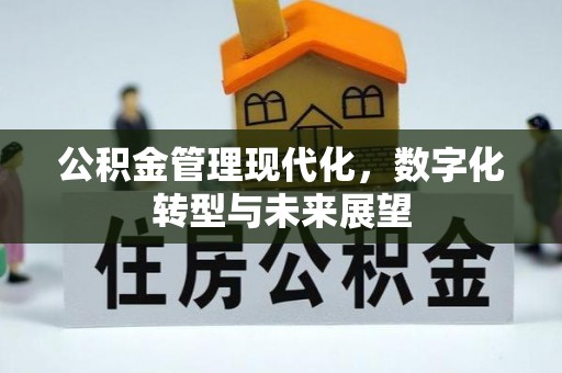 汉源公积金管理现代化，数字化转型与未来展望