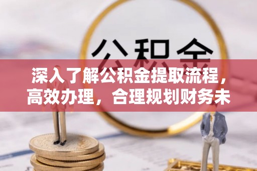汉源深入了解公积金提取流程，高效办理，合理规划财务未来