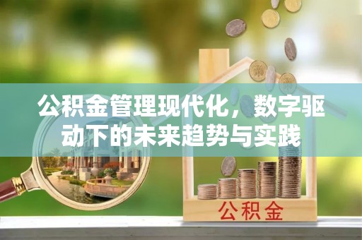 汉源公积金管理现代化，数字驱动下的未来趋势与实践