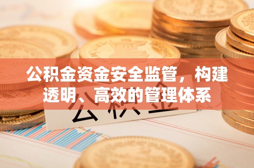 汉源公积金资金安全监管，构建透明、高效的管理体系