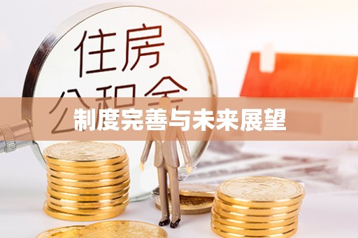 汉源制度完善与未来展望