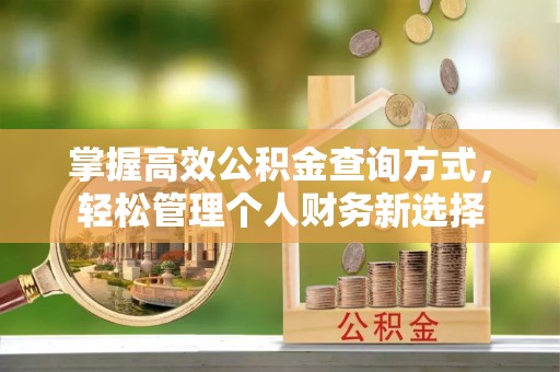 汉源掌握高效公积金查询方式，轻松管理个人财务新选择