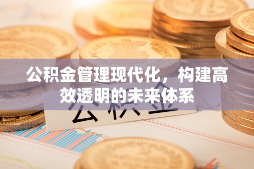 汉源公积金管理现代化，构建高效透明的未来体系