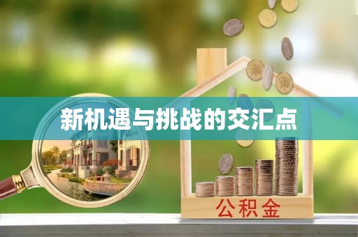 汉源新机遇与挑战的交汇点