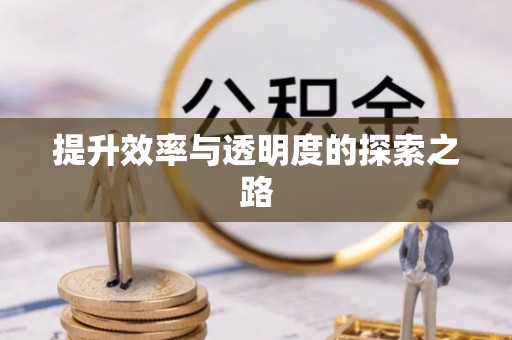 汉源提升效率与透明度的探索之路