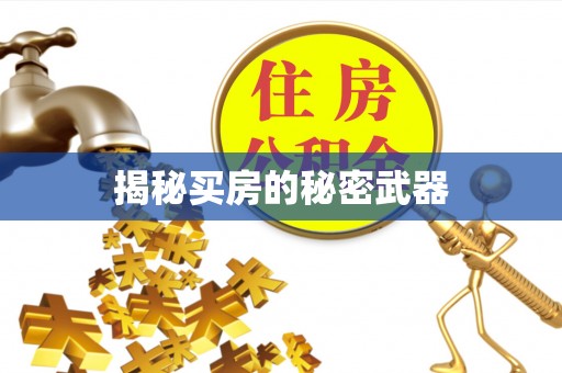 汉源揭秘买房的秘密武器
