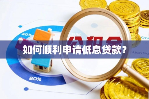 汉源如何顺利申请低息贷款？