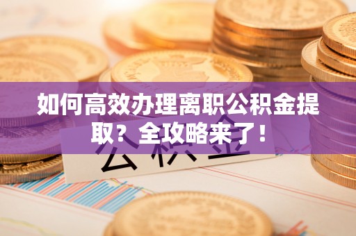 汉源如何高效办理离职公积金提取？全攻略来了！