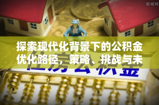 汉源探索现代化背景下的公积金优化路径，策略、挑战与未来展望