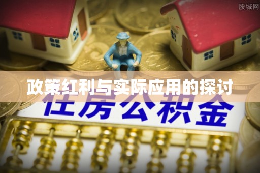 汉源政策红利与实际应用的探讨