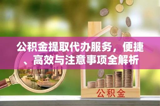 汉源公积金提取代办服务，便捷、高效与注意事项全解析