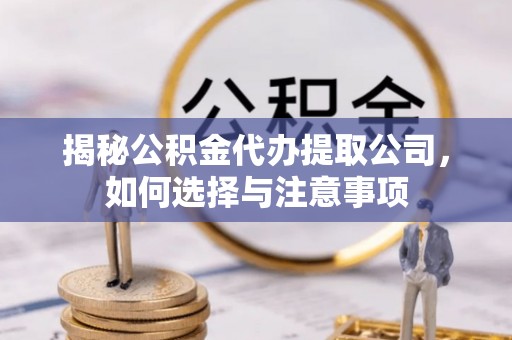 汉源揭秘公积金代办提取公司，如何选择与注意事项