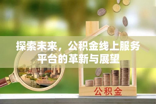 汉源探索未来，公积金线上服务平台的革新与展望