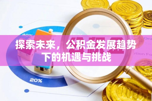 汉源探索未来，公积金发展趋势下的机遇与挑战