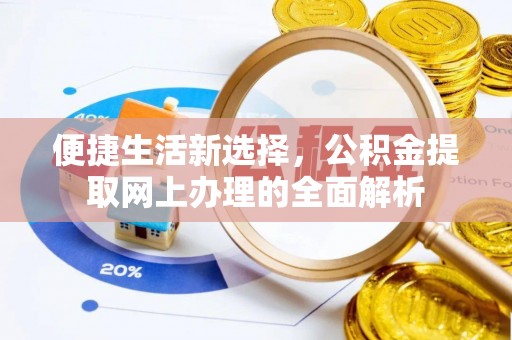 汉源便捷生活新选择，公积金提取网上办理的全面解析