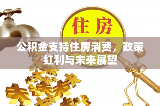 汉源公积金支持住房消费，政策红利与未来展望