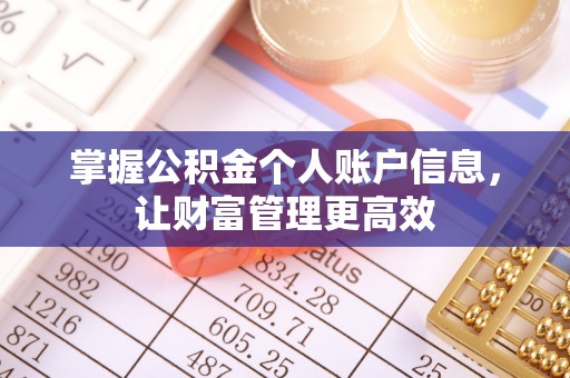 汉源掌握公积金个人账户信息，让财富管理更高效