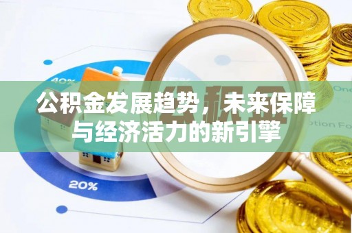 汉源公积金发展趋势，未来保障与经济活力的新引擎