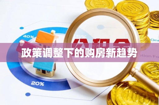 汉源政策调整下的购房新趋势