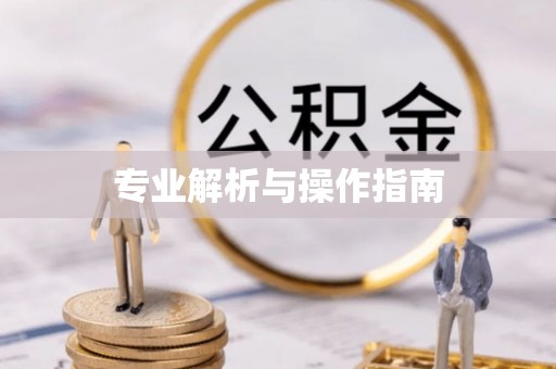 汉源专业解析与操作指南