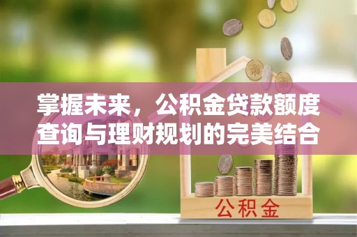 汉源掌握未来，公积金贷款额度查询与理财规划的完美结合