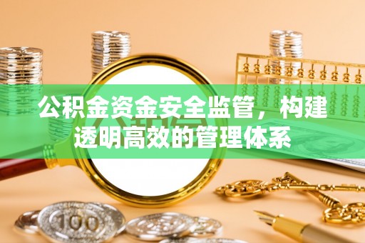 汉源公积金资金安全监管，构建透明高效的管理体系