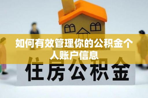 汉源如何有效管理你的公积金个人账户信息