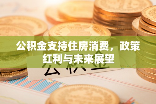 汉源公积金支持住房消费，政策红利与未来展望