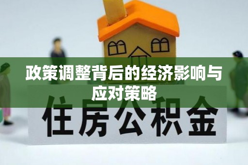 汉源政策调整背后的经济影响与应对策略