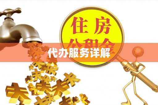 汉源代办服务详解