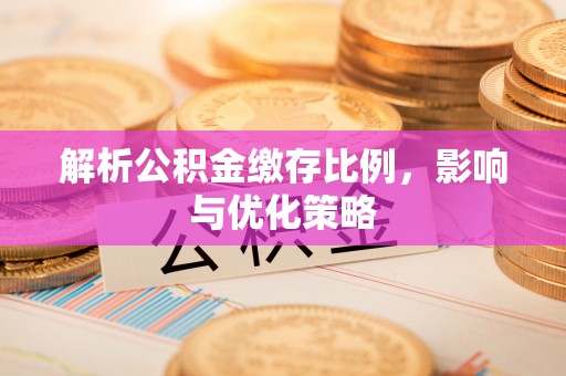 汉源解析公积金缴存比例，影响与优化策略