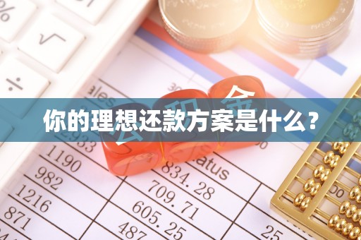 汉源你的理想还款方案是什么？