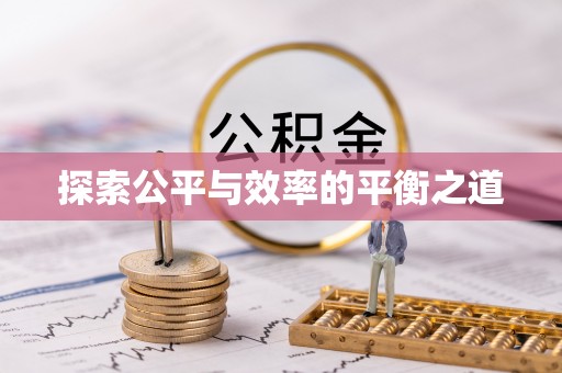 汉源探索公平与效率的平衡之道