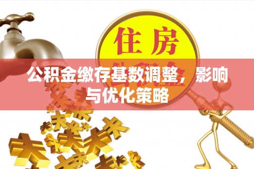 汉源公积金缴存基数调整，影响与优化策略