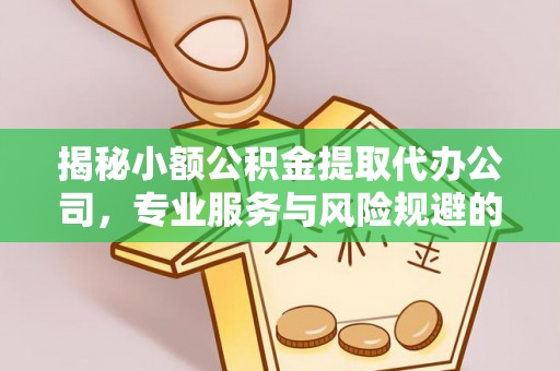 汉源揭秘小额公积金提取代办公司，专业服务与风险规避的平衡艺术