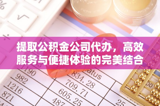 汉源提取公积金公司代办，高效服务与便捷体验的完美结合