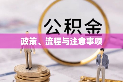 汉源政策、流程与注意事项