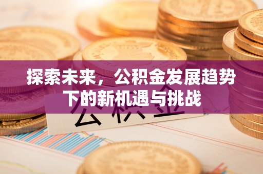 汉源探索未来，公积金发展趋势下的新机遇与挑战
