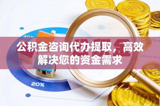 汉源公积金咨询代办提取，高效解决您的资金需求