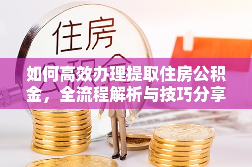 汉源如何高效办理提取住房公积金，全流程解析与技巧分享