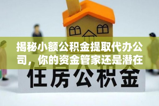 汉源揭秘小额公积金提取代办公司，你的资金管家还是潜在风险？