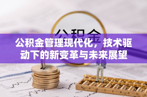 汉源公积金管理现代化，技术驱动下的新变革与未来展望