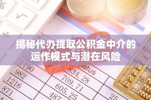 汉源揭秘代办提取公积金中介的运作模式与潜在风险